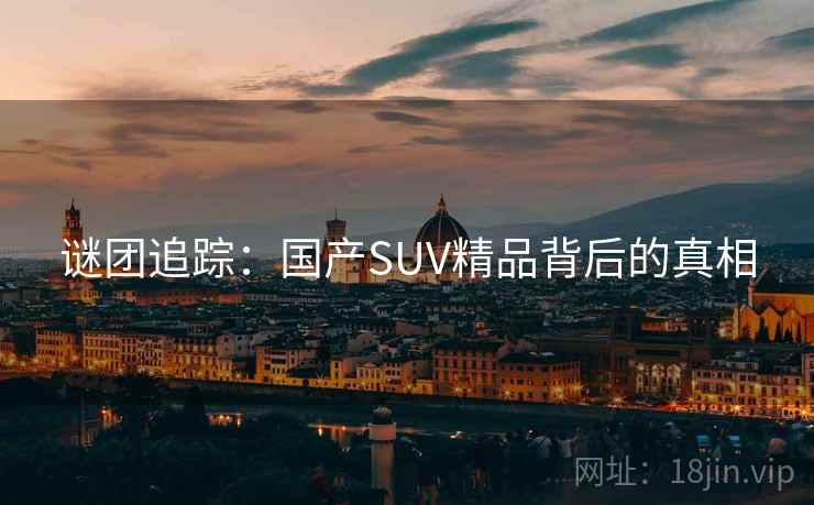 谜团追踪：国产SUV精品背后的真相