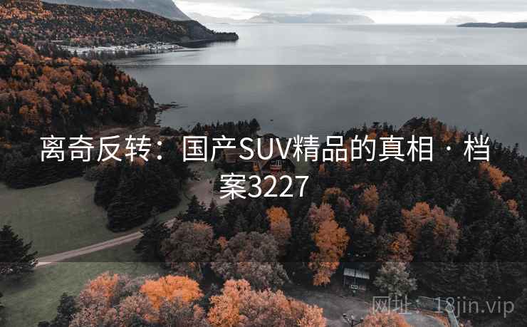 离奇反转：国产SUV精品的真相 · 档案3227  第1张