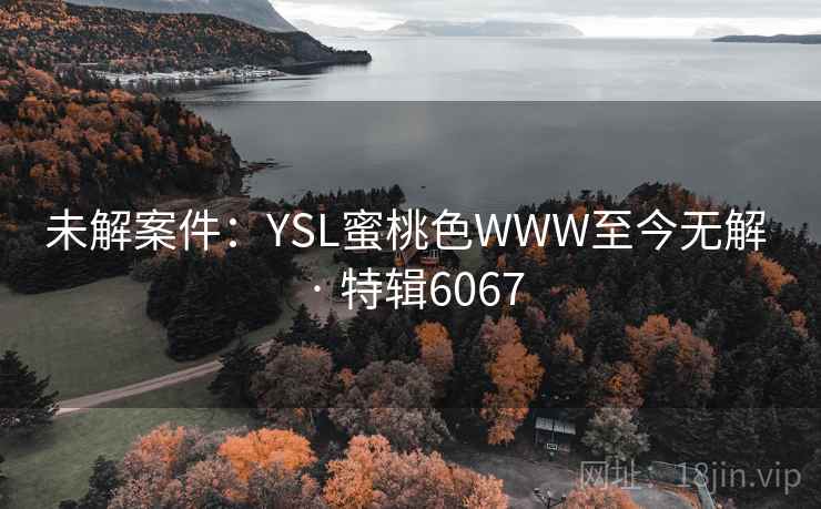 未解案件：YSL蜜桃色WWW至今无解 · 特辑6067  第2张