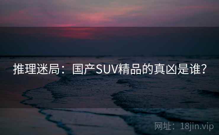 推理迷局：国产SUV精品的真凶是谁？  第1张